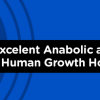 ibutamoren mk677 hgh growthhormone